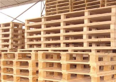 ����ľ���̵绰